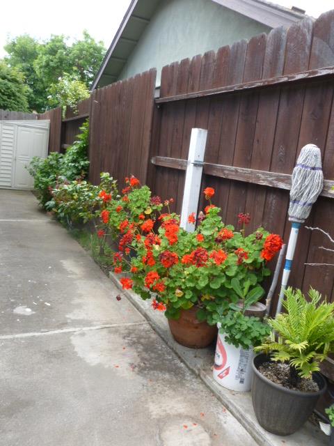 3621 Merrifield Ave, Modesto, CA 95356