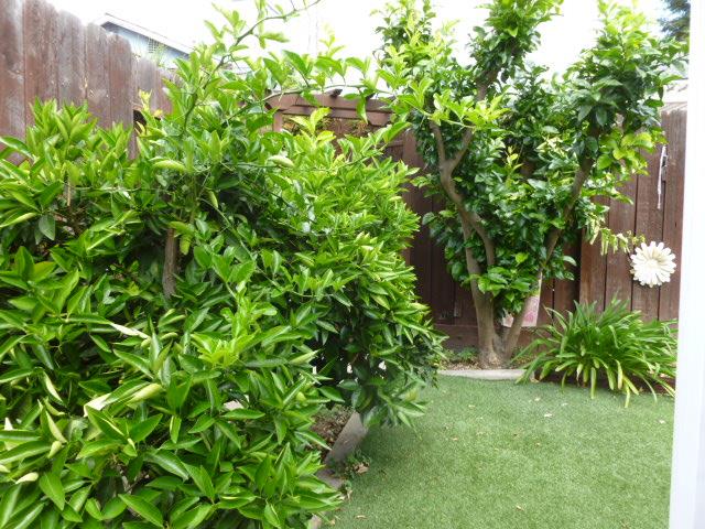 3621 Merrifield Ave, Modesto, CA 95356