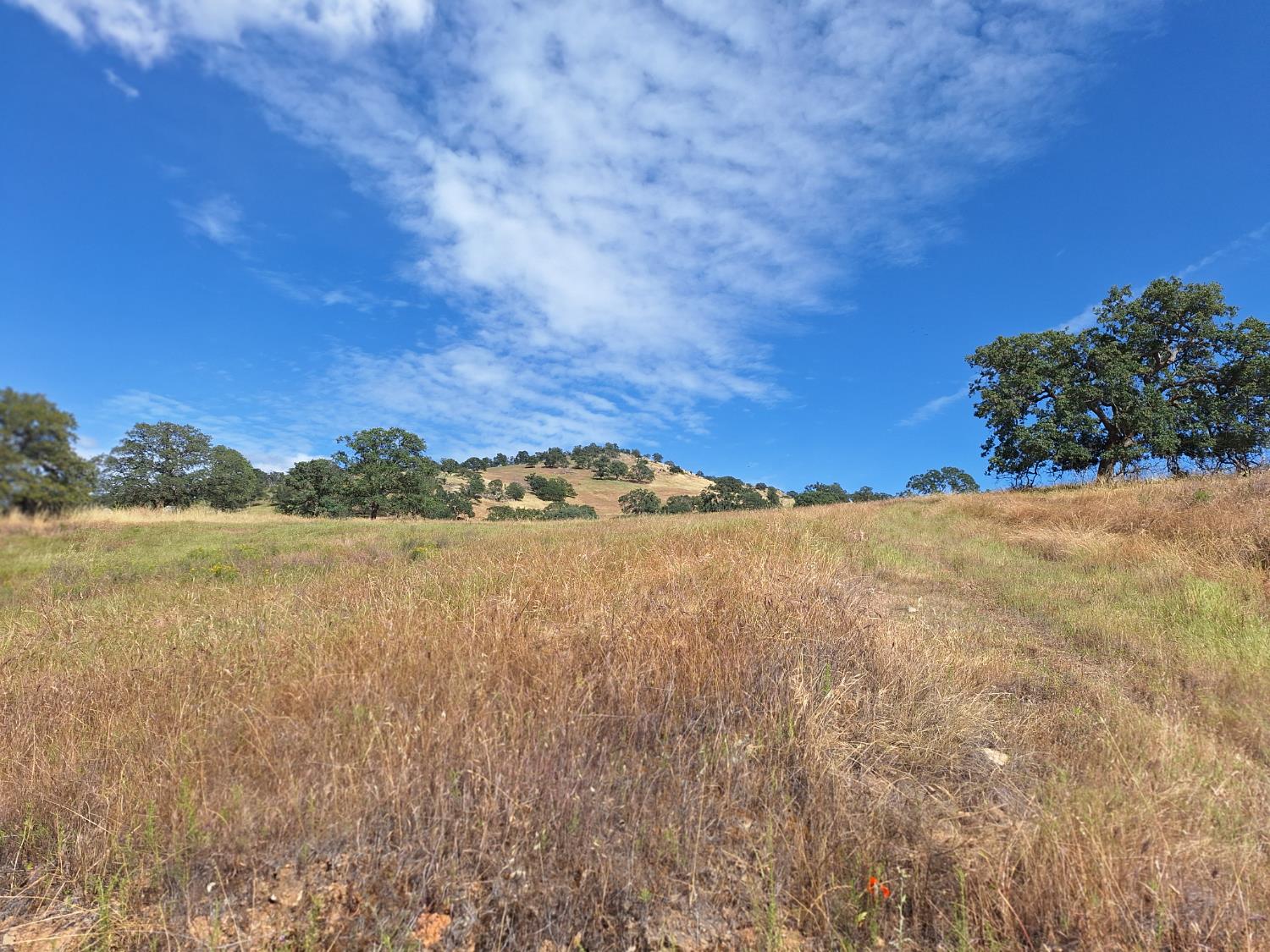 9375 Luna Ct, La Grange, CA 95329