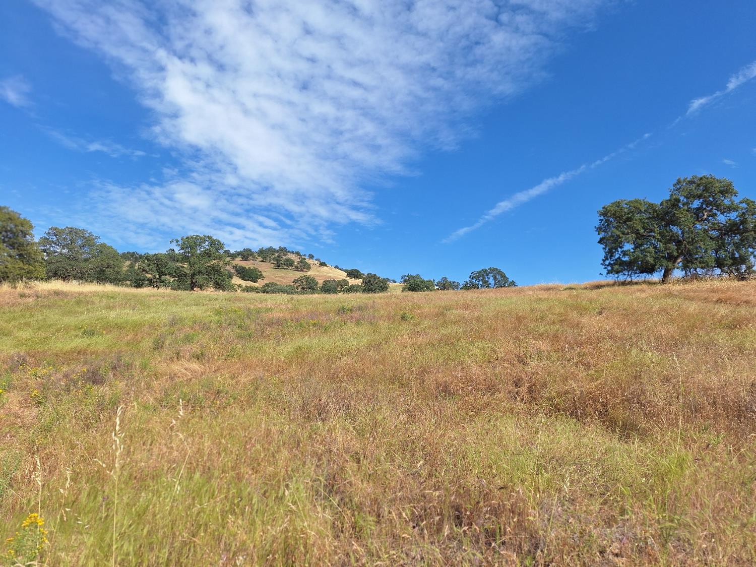 9375 Luna Ct, La Grange, CA 95329