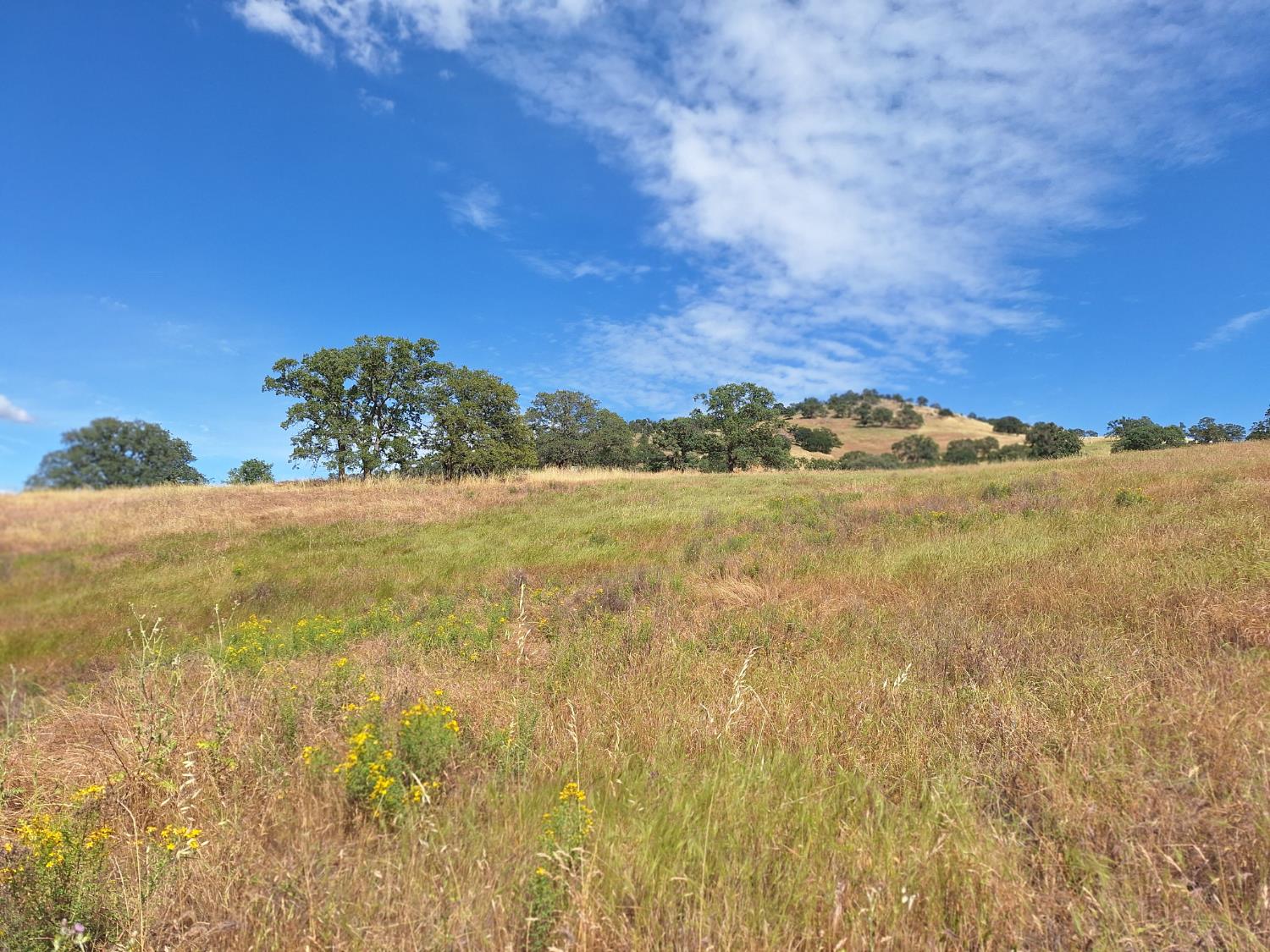 9375 Luna Ct, La Grange, CA 95329