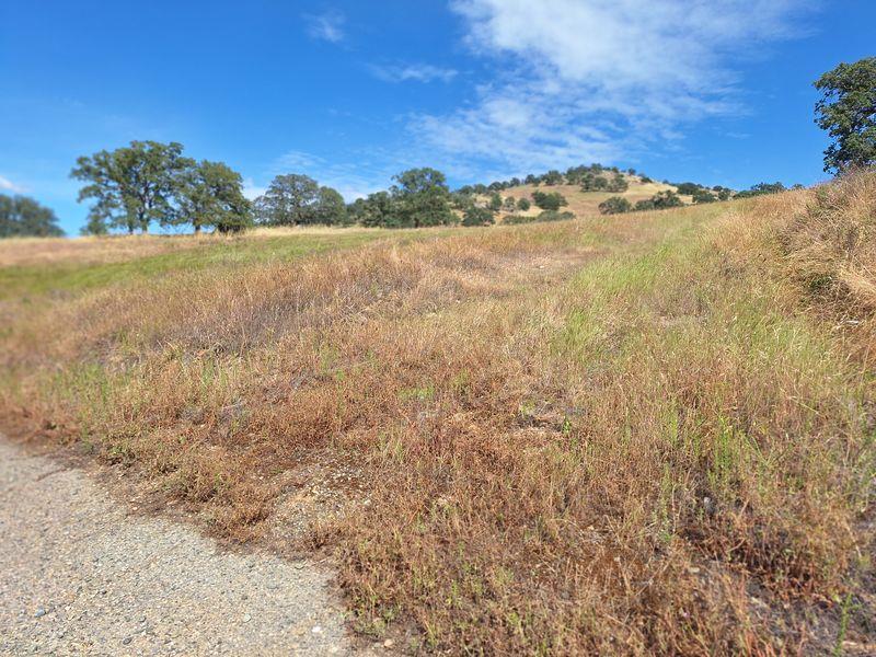 9375 Luna Ct, La Grange, CA 95329