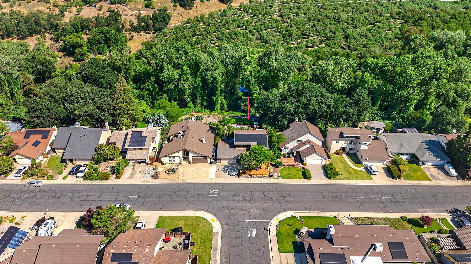 1174 River Bluff Dr, Oakdale, CA 95361