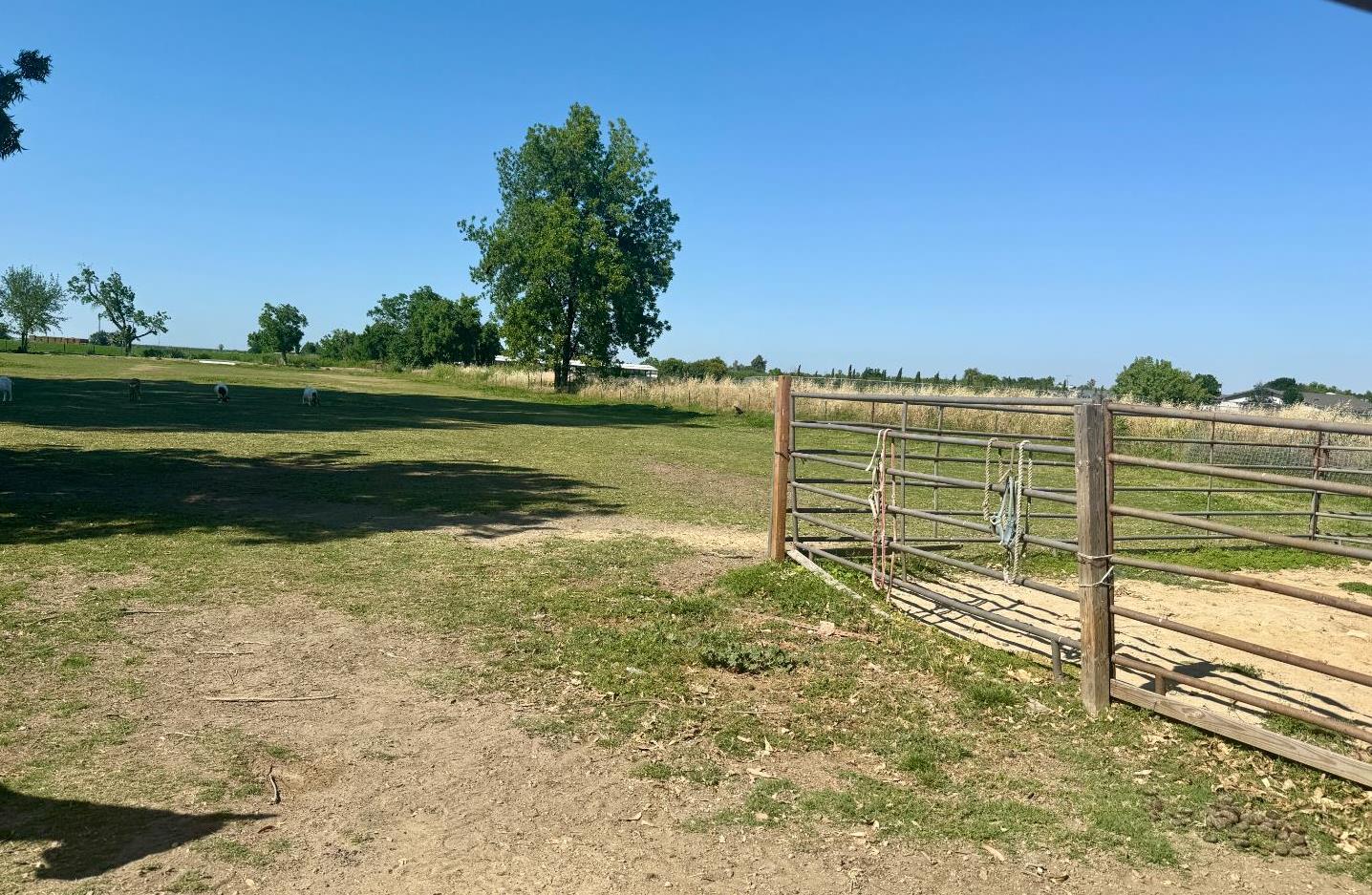 821 Orestimba Road, Newman, CA 95360