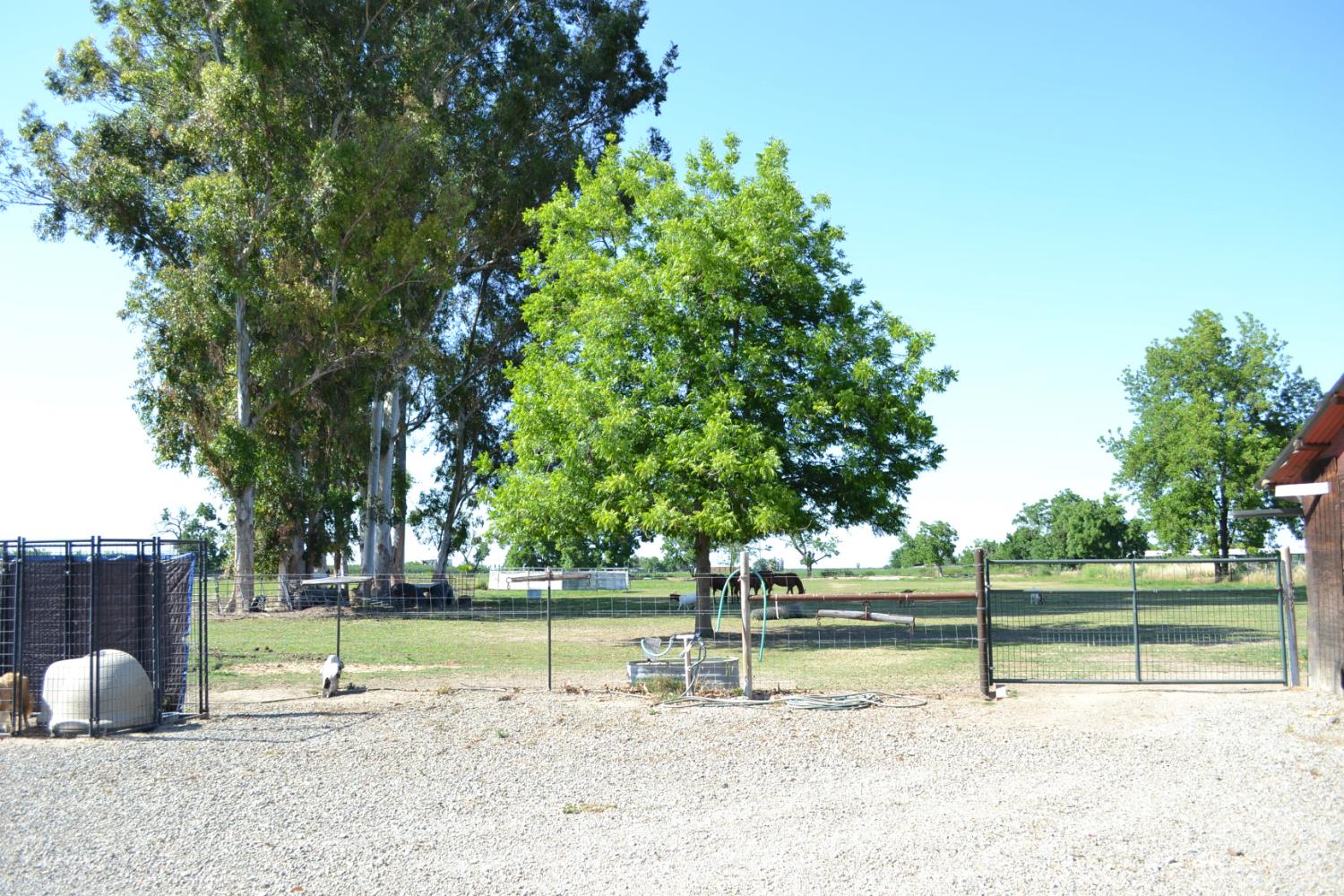 821 Orestimba Road, Newman, CA 95360