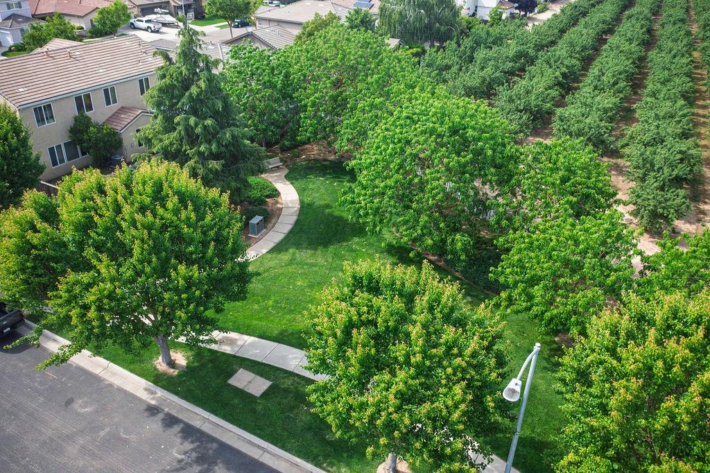 3364 Silverwood St, Escalon, CA 95320