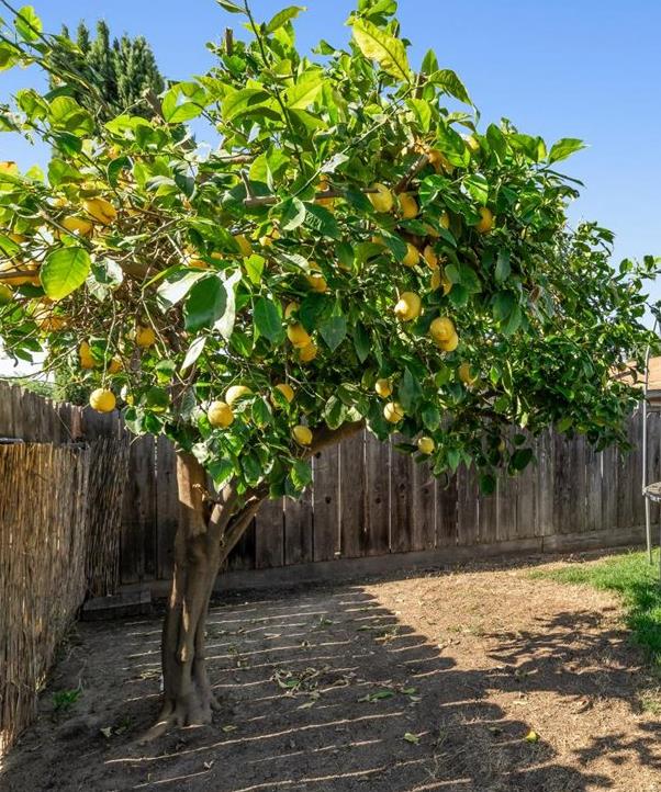 2216 Venus Dr, Ceres, CA 95307