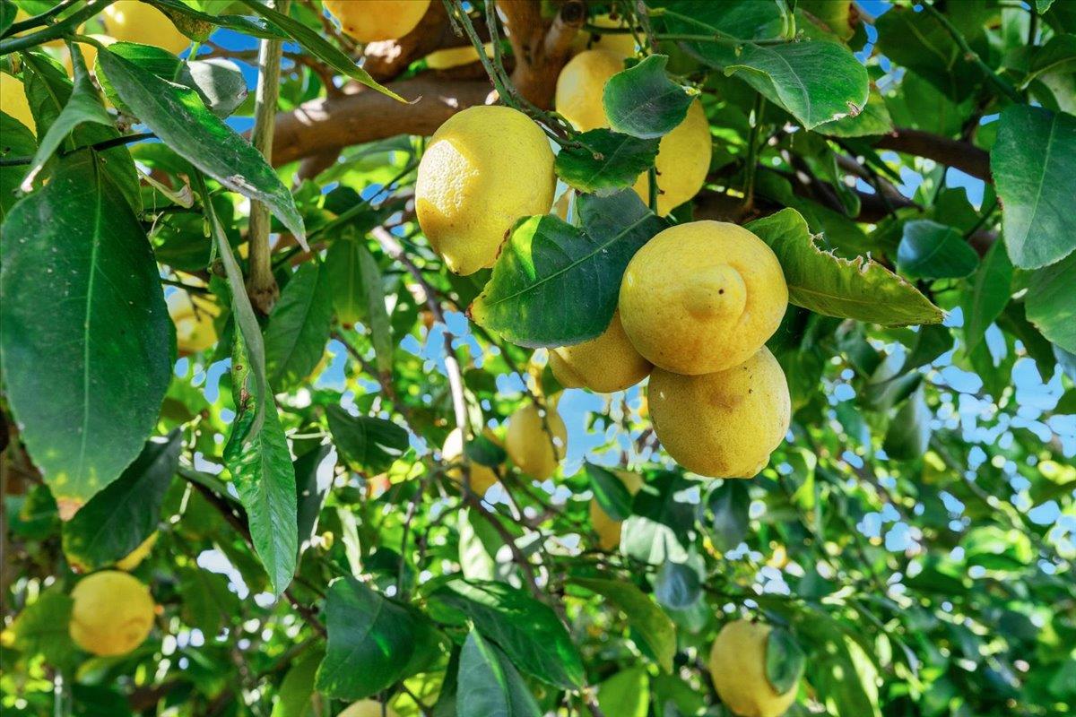 2216 Venus Dr, Ceres, CA 95307