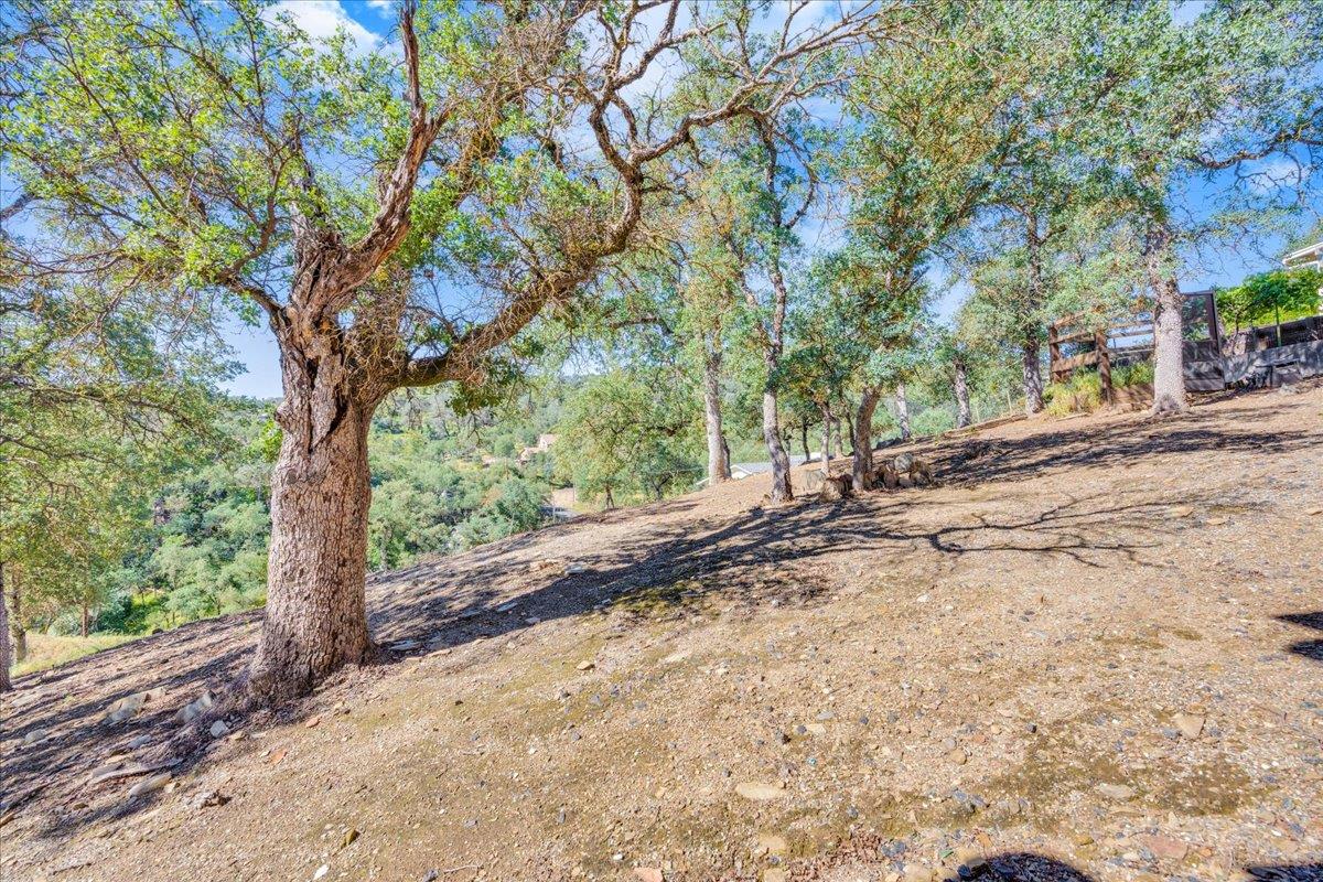 4248 Council Trl, Copperopolis, CA 95228