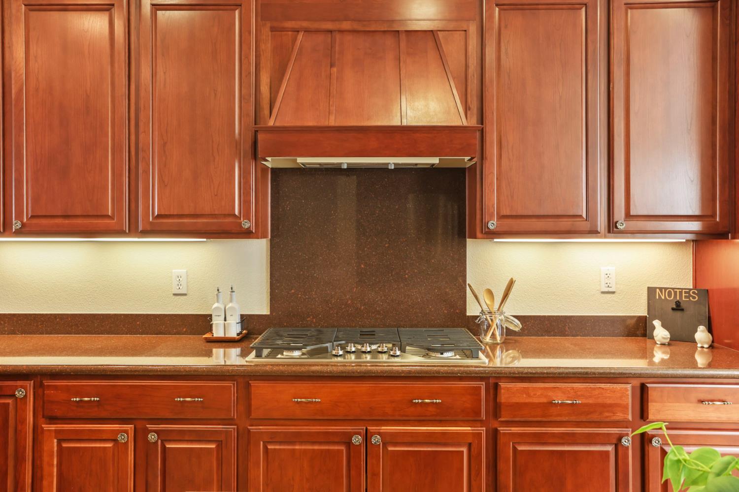 2349 Belle Glade Ln, Manteca, CA 95336