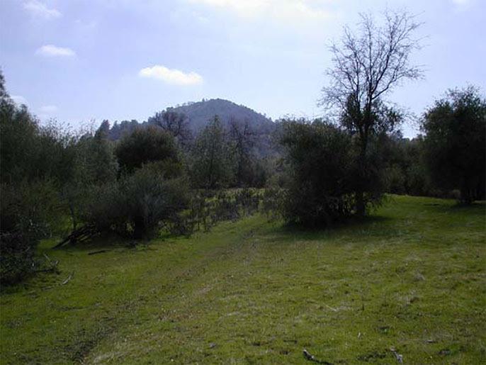 4195 stumpfield MT, Mariposa, CA 95338