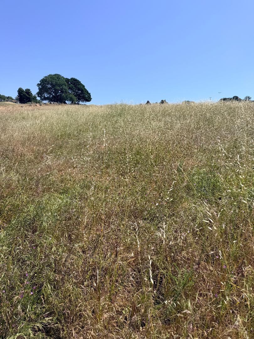 9596 Paraiso Blvd, La Grange, CA 95329