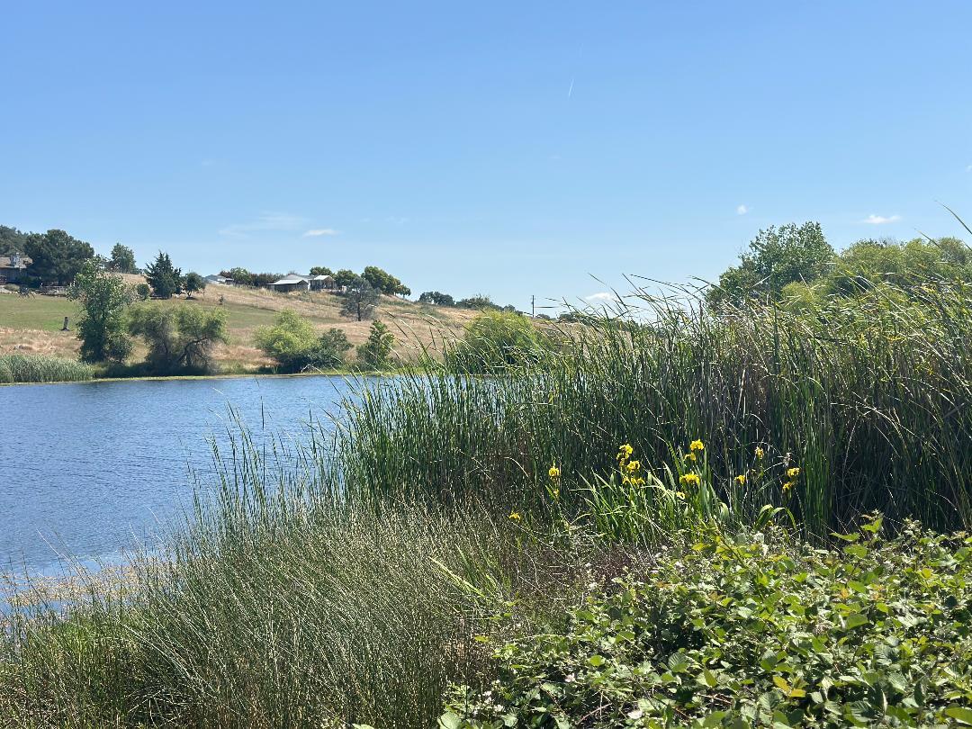 9596 Paraiso Blvd, La Grange, CA 95329