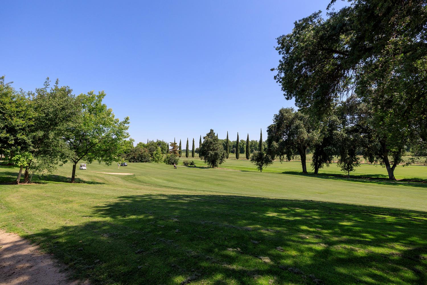 1682 Fairway Oaks Ct, Ripon, CA 95366