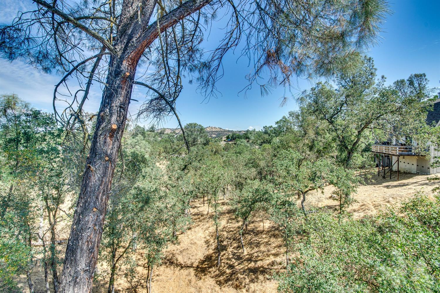 4589 Tomahawk Trail, Copperopolis, CA 95228