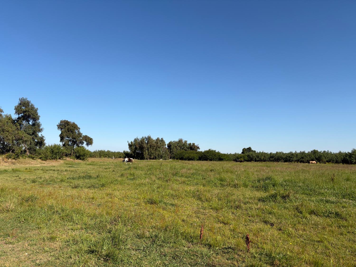 13513 Vineyard Rd, Waterford, CA 95386