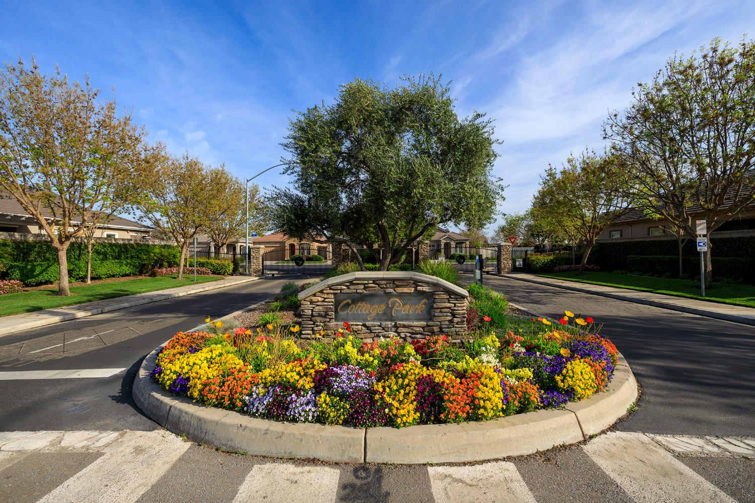 2471 Sea Lion Way, Turlock, CA 95380