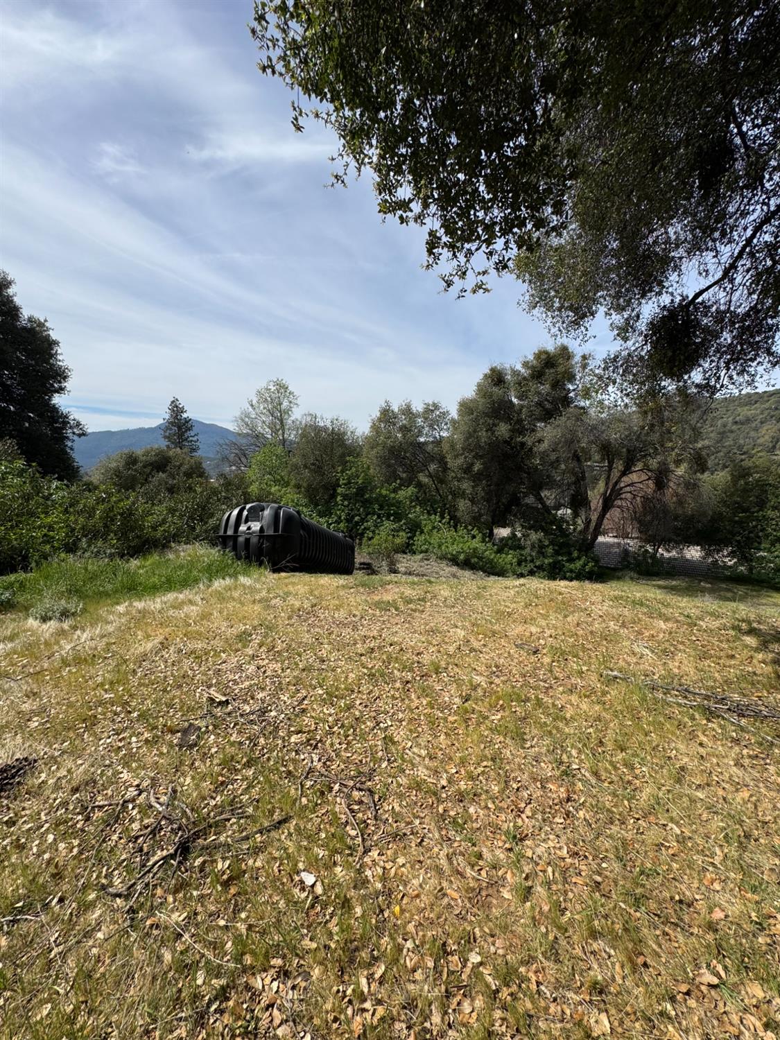 0 Shady Ln, Oakhurst, CA 93644