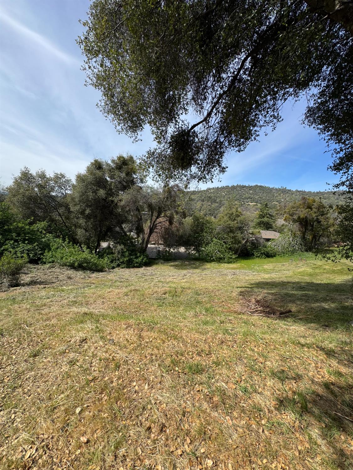 0 Shady Ln, Oakhurst, CA 93644