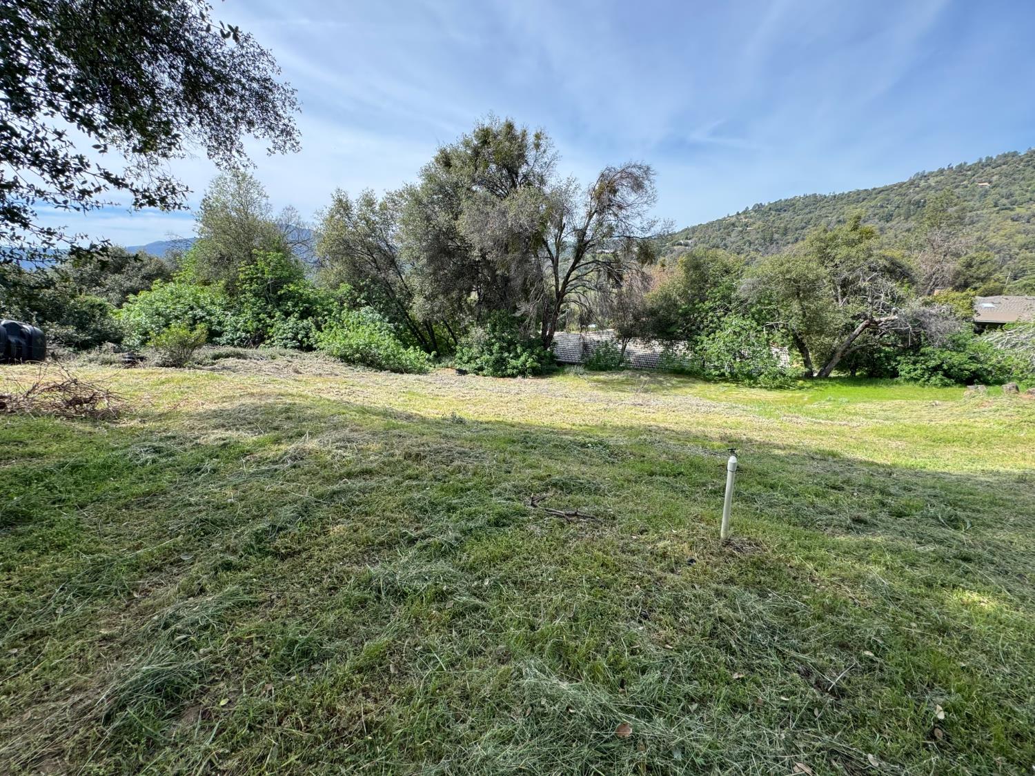 0 Shady Ln, Oakhurst, CA 93644