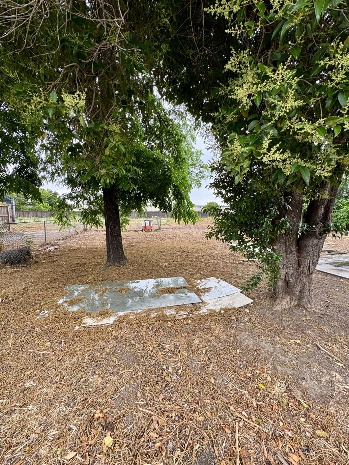 1535 Melrose Ave, Modesto, CA 95350