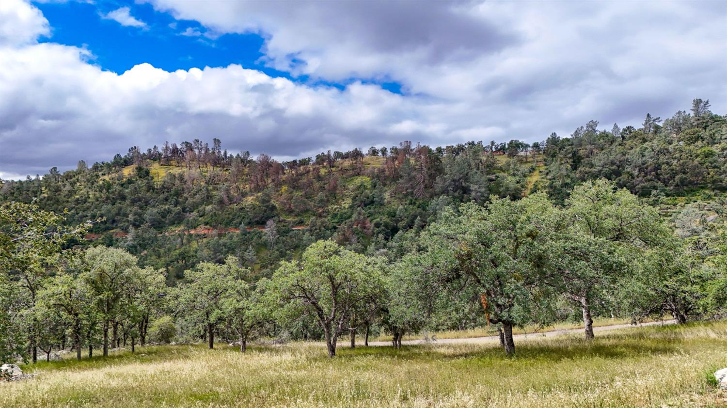 5616 Gold Creek Ln, Mariposa, CA 95338