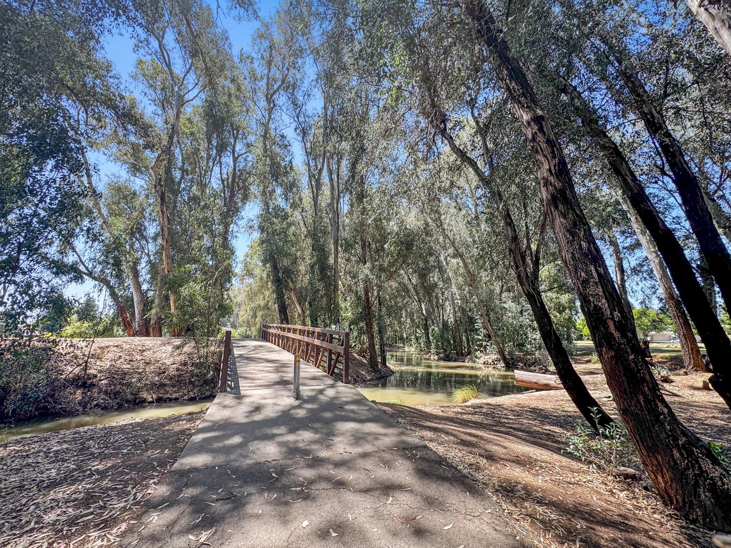 1246 Paseo Redondo Dr, Merced, CA 95348