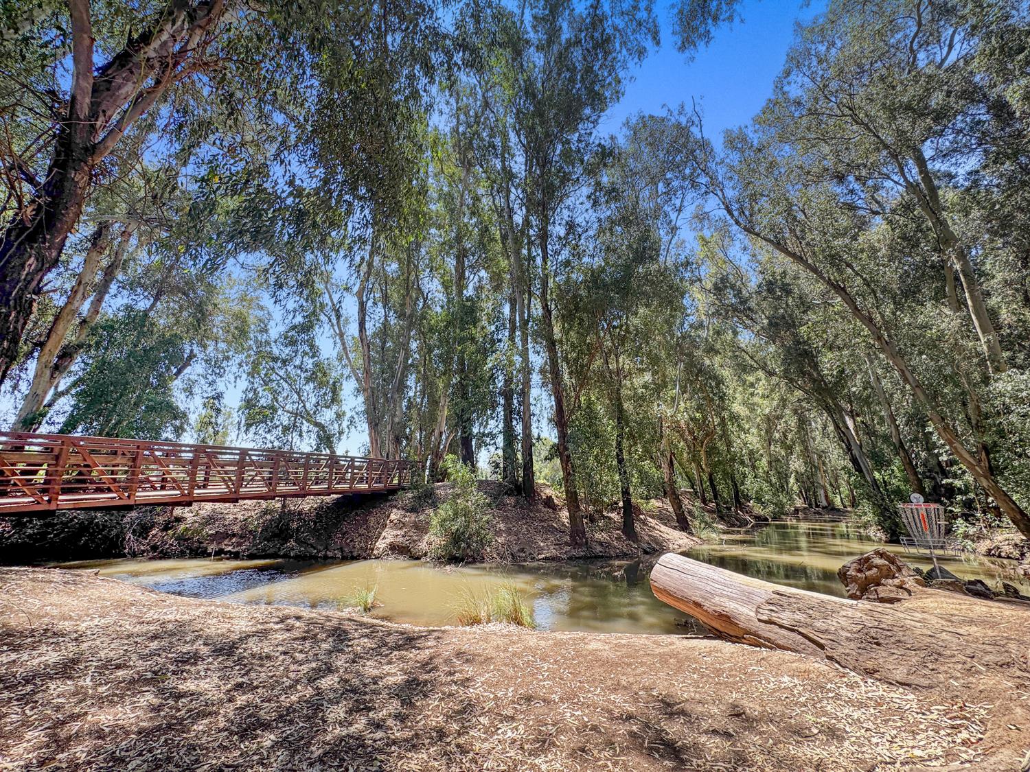 1246 Paseo Redondo Dr, Merced, CA 95348