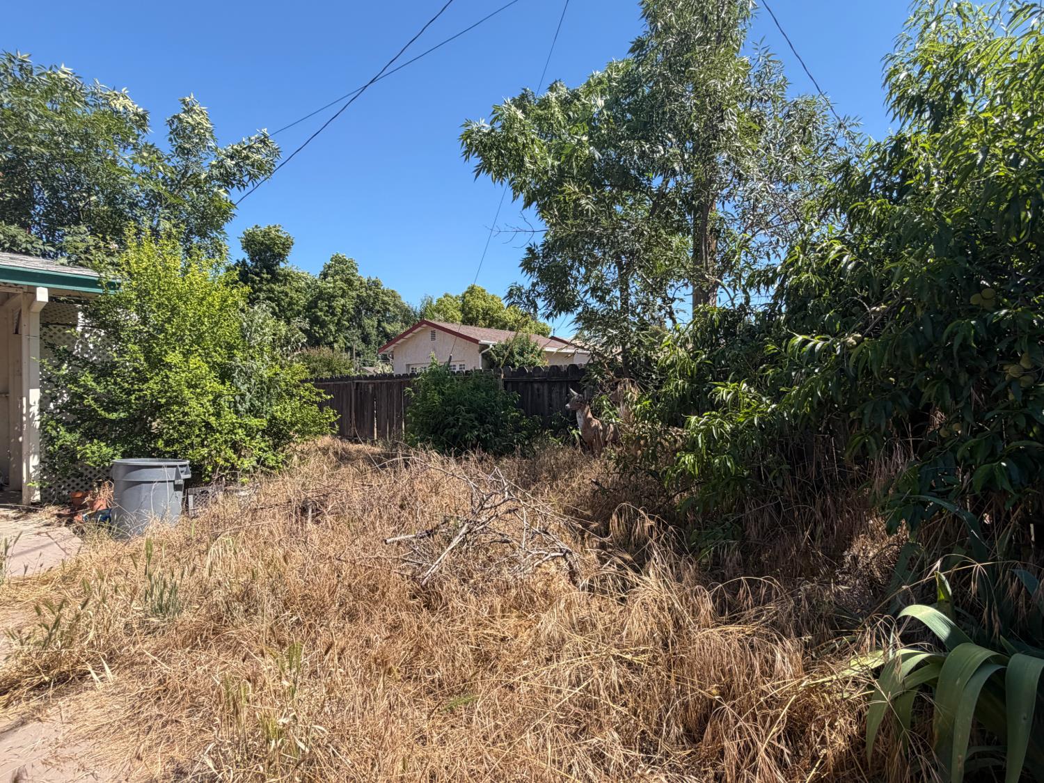 1813 Enslen Ave, Modesto, CA 95350