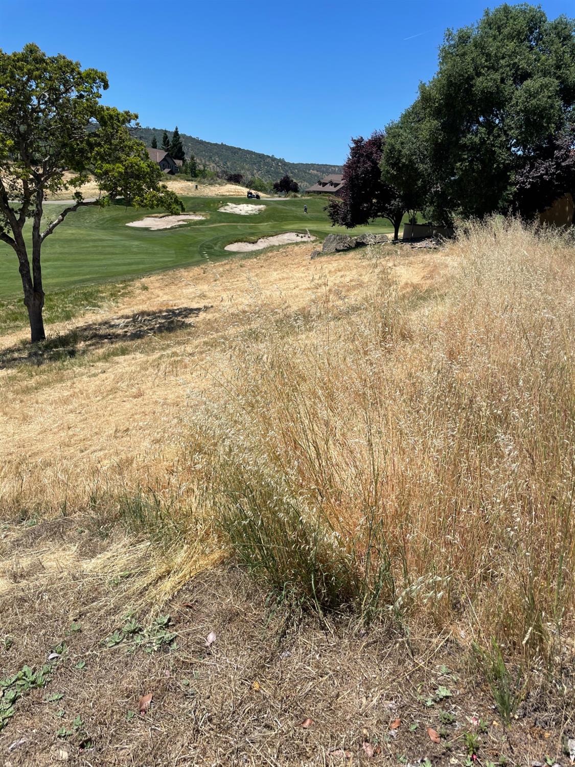 2196 Oak Creek Dr, Copperopolis, CA 95228