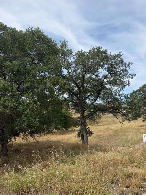 5134 Little John, Copperopolis, CA 95228