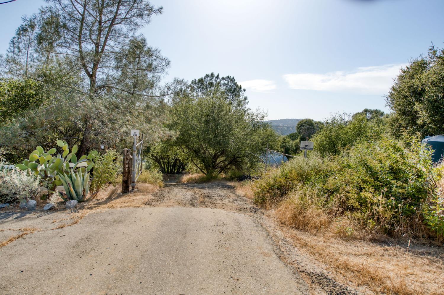 43867 Trabuco Ct, Coarsegold, CA 93614