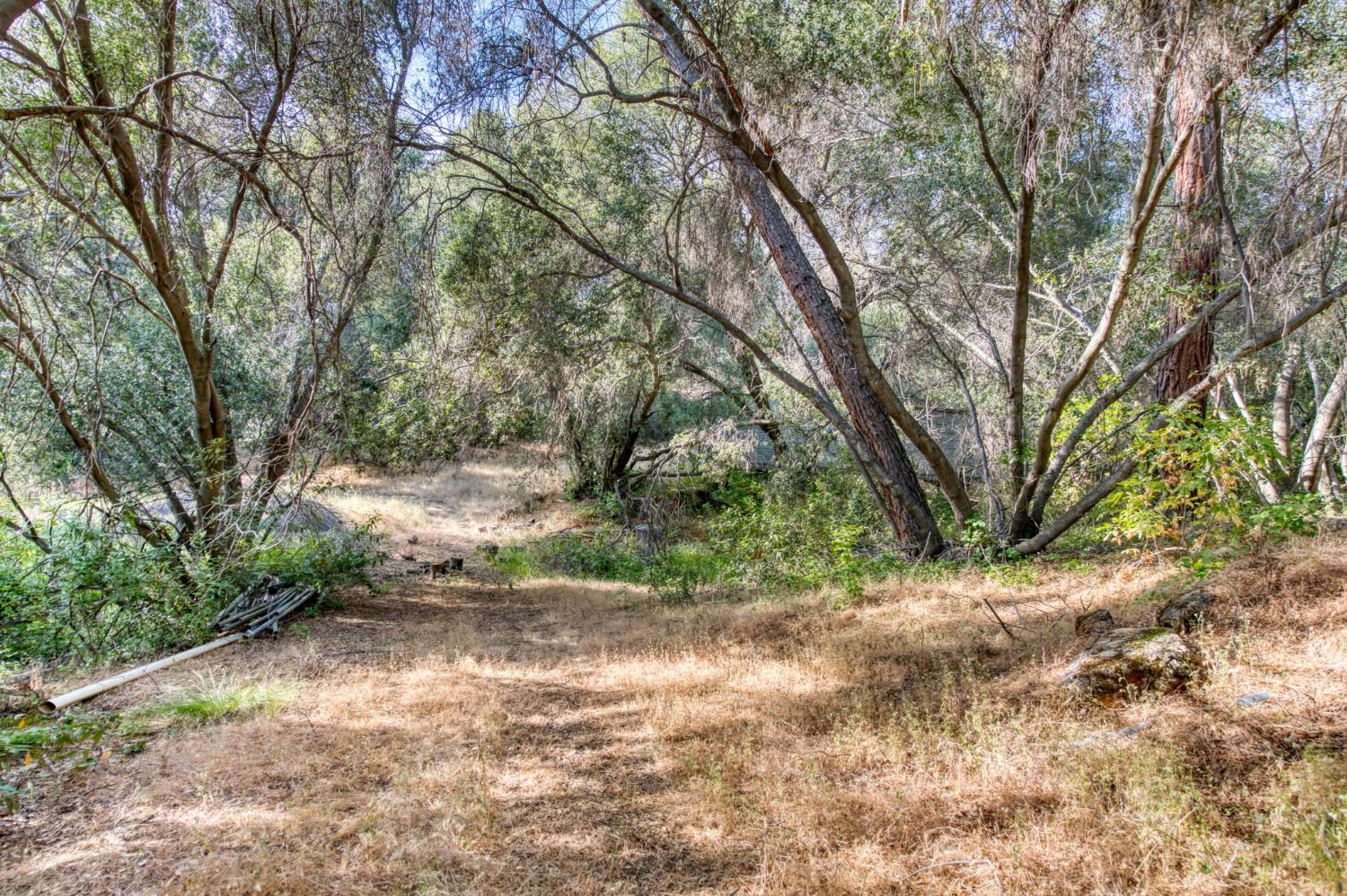43867 Trabuco Ct, Coarsegold, CA 93614