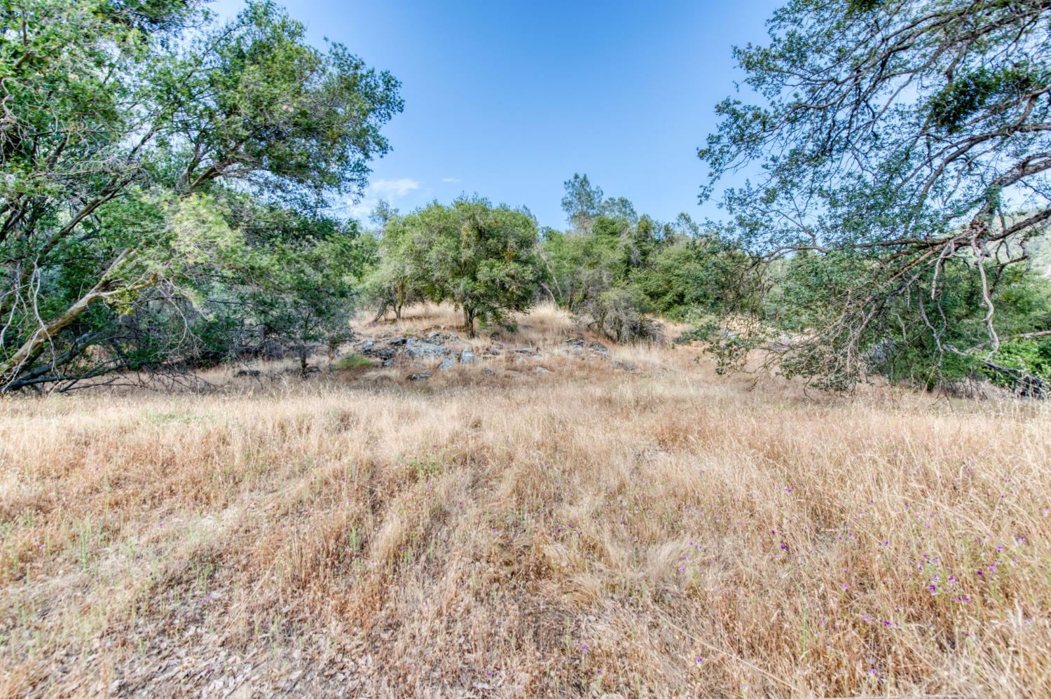43867 Trabuco Ct, Coarsegold, CA 93614