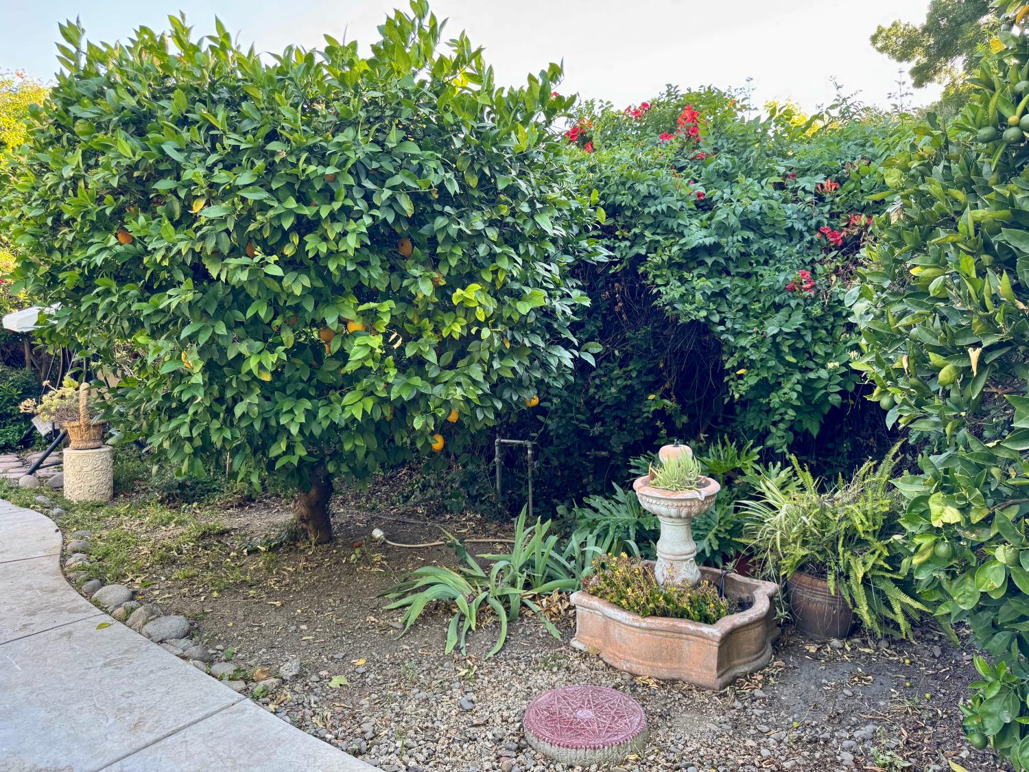 416 Crescent Dr, Los Banos, CA 93635