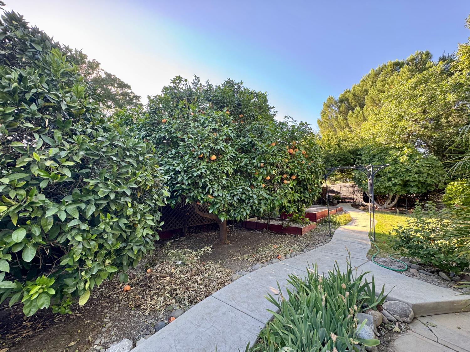 416 Crescent Dr, Los Banos, CA 93635