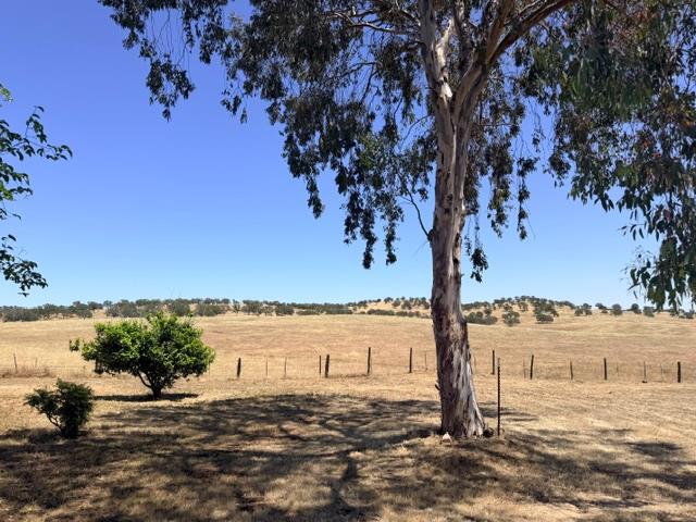 4081 La Grange, La Grange, CA 95329