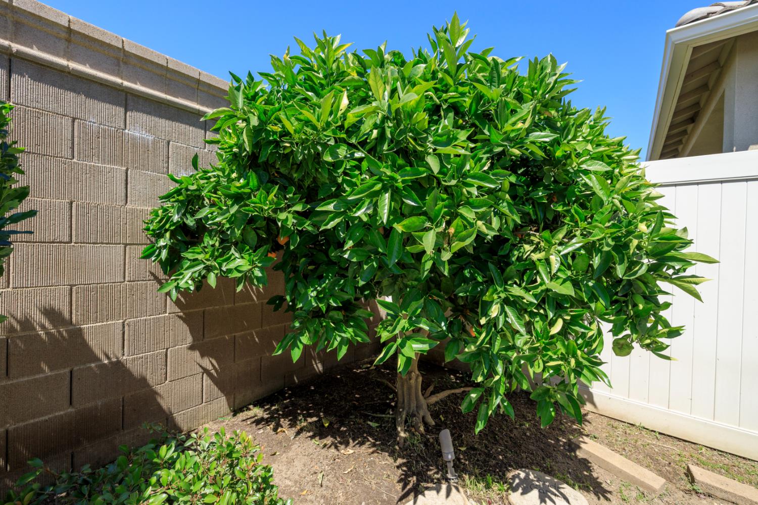 2234 Via Vita, Oakdale, CA 95361