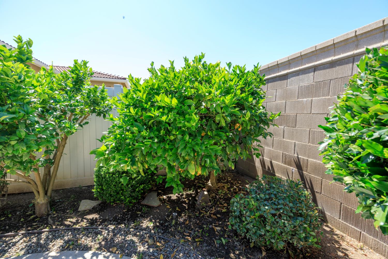 2234 Via Vita, Oakdale, CA 95361