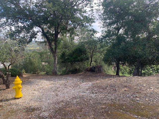 4817 Pueblo Trl, Copperopolis, CA 95228