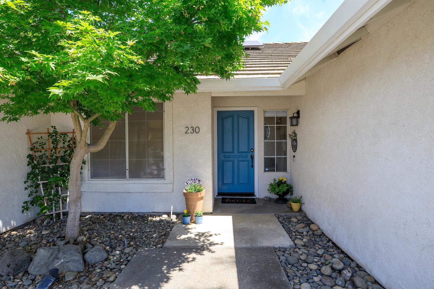 230 Meyenberg Ave, Ripon, CA 95366