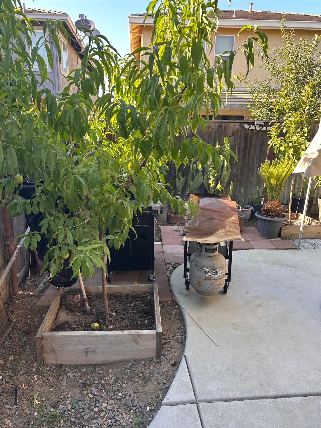 3655 Fallview Ave, Ceres, CA 95307