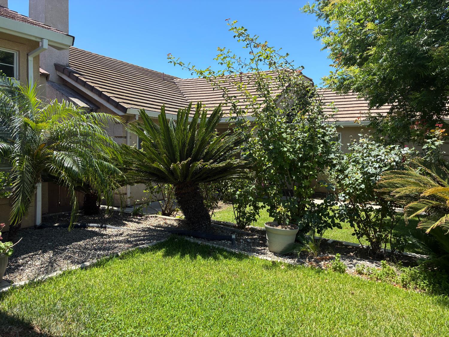 868 Alcoy Dr, Ceres, CA 95307