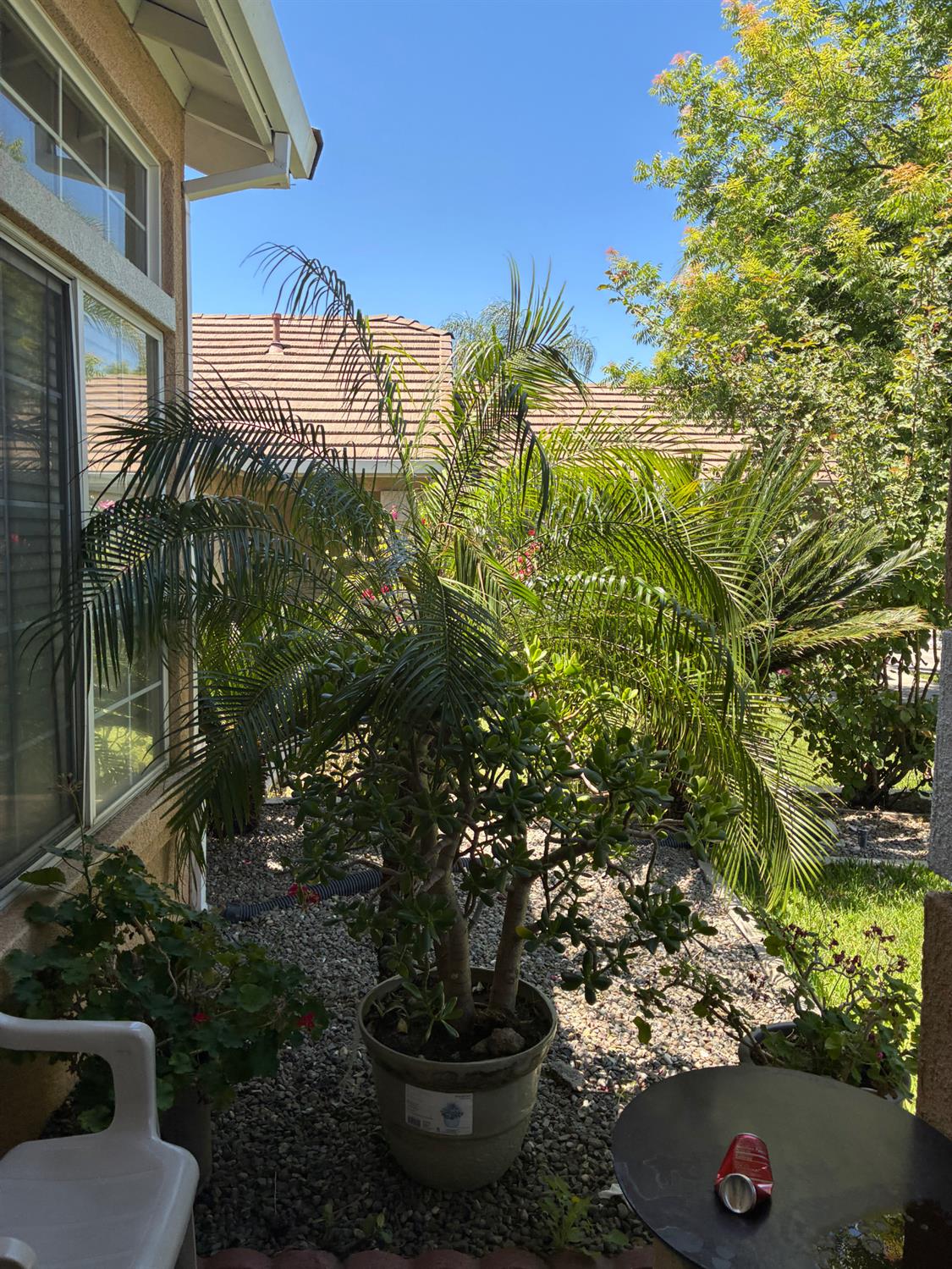 868 Alcoy Dr, Ceres, CA 95307