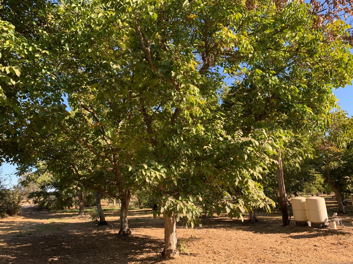 700 Wellsford Rd, Modesto, CA 95357