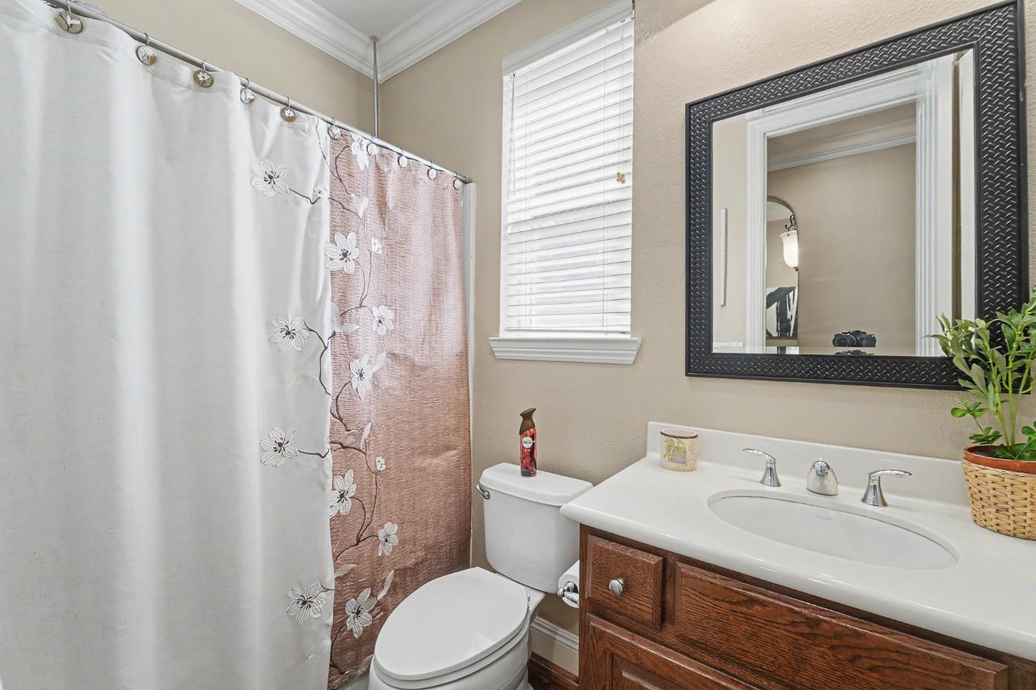 1223 E Springer Dr, Turlock, CA 95382