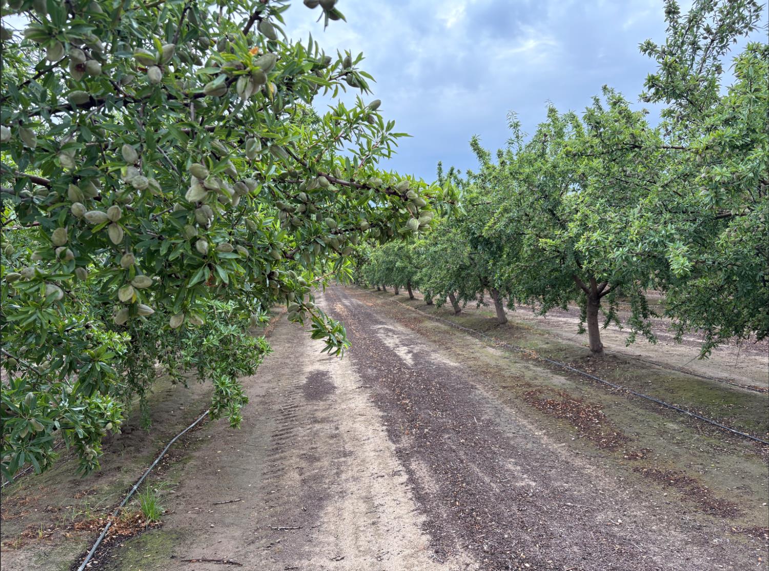 5012 Ustick Rd, Modesto, CA 95358