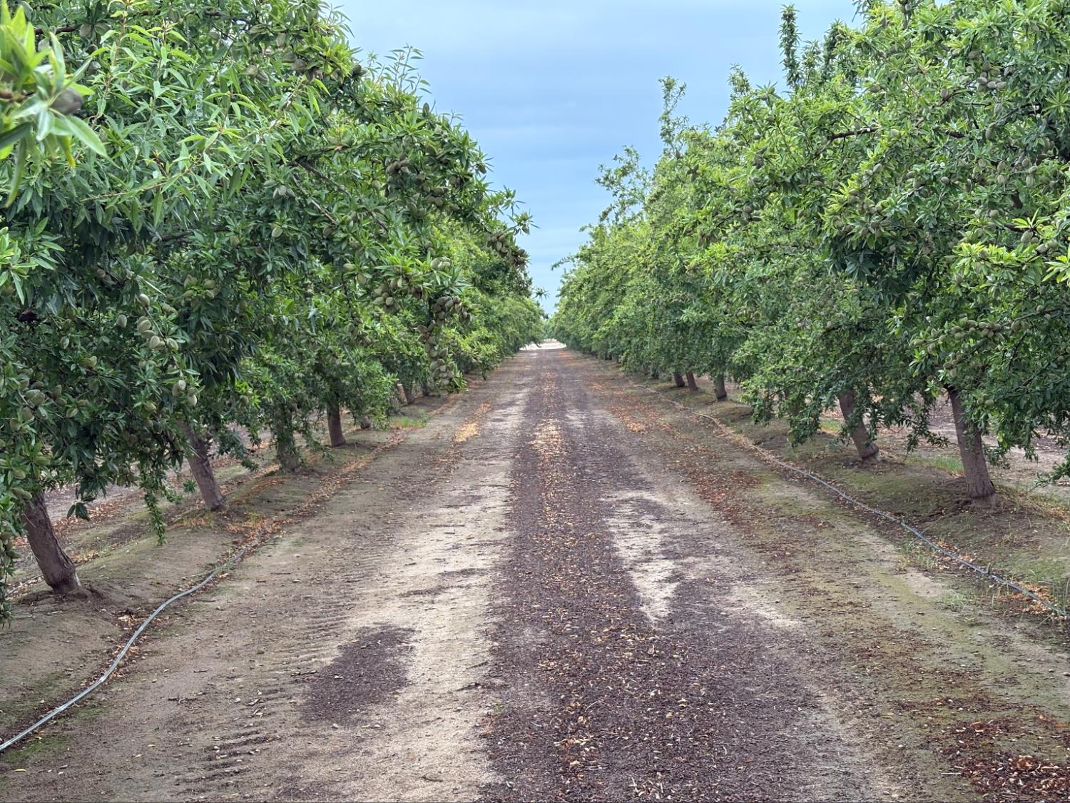 5012 Ustick Rd, Modesto, CA 95358