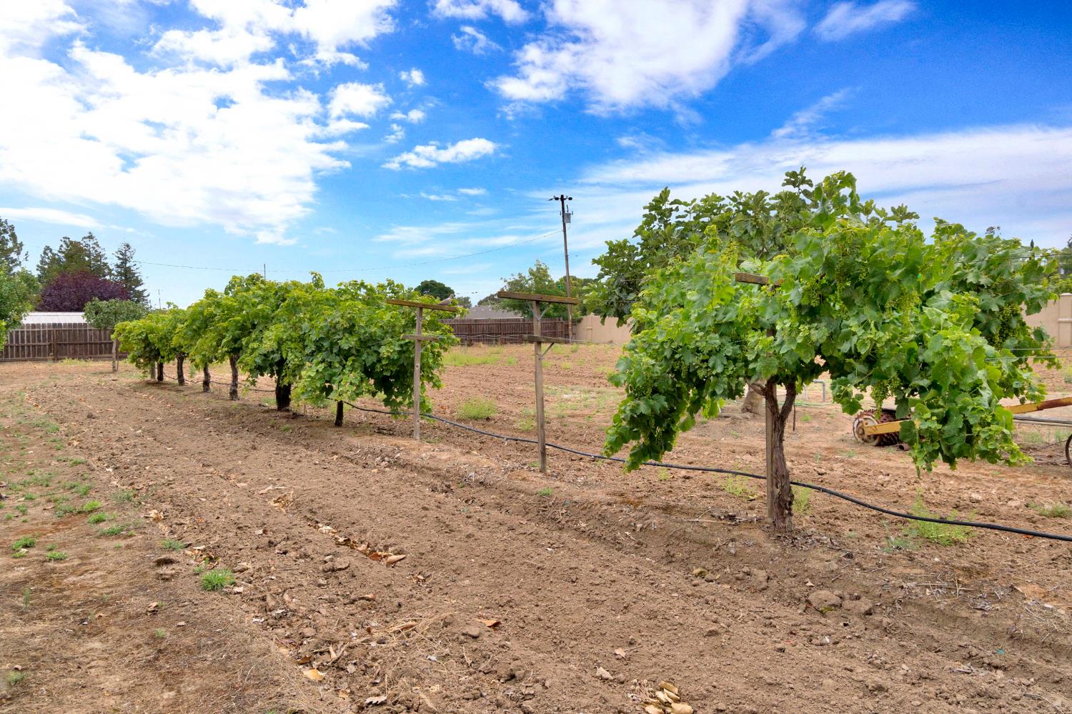 26856 18 1/4, Madera, CA 93638