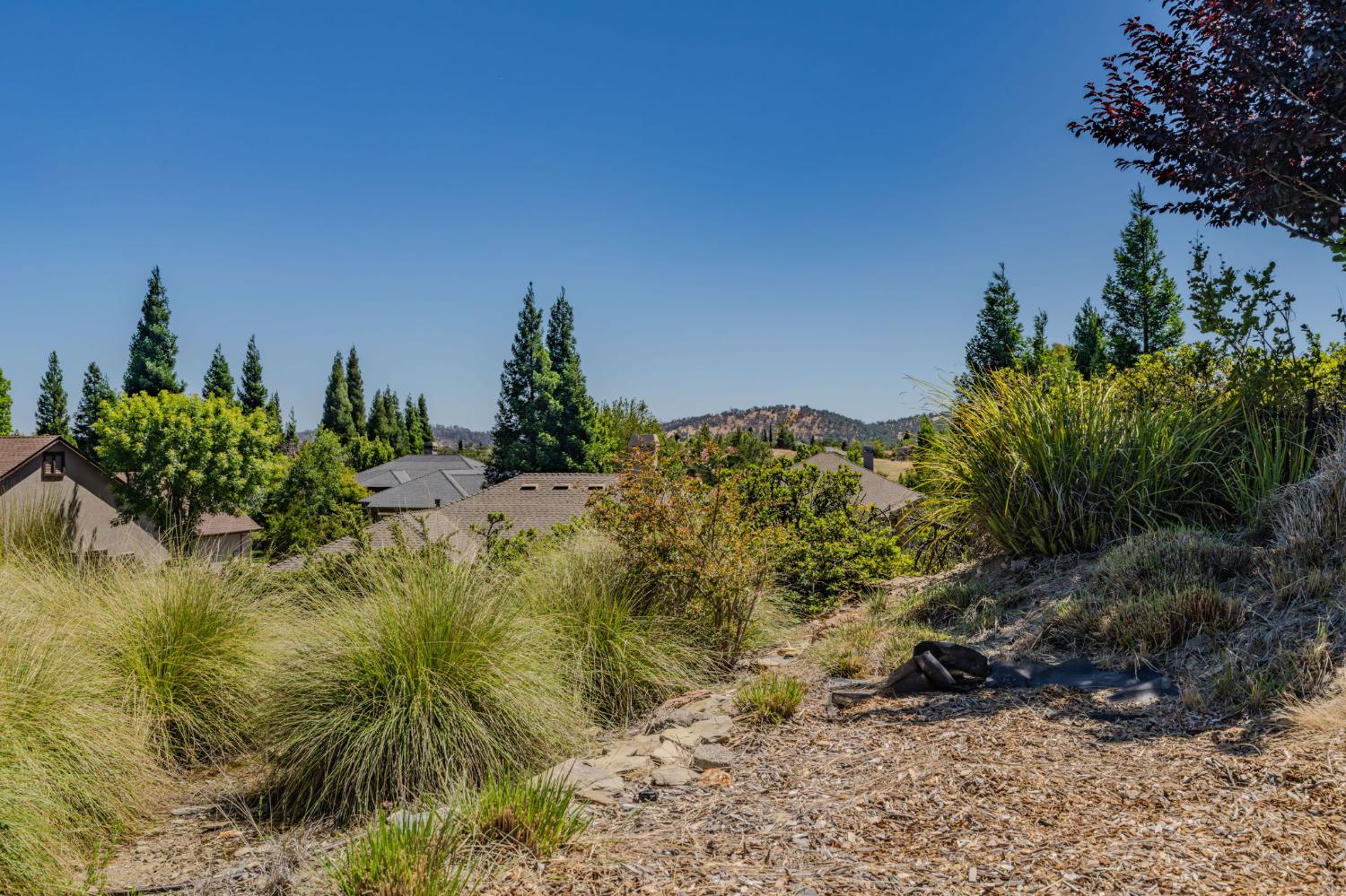 171 Quail Meadow Ct, Copperopolis, CA 95228
